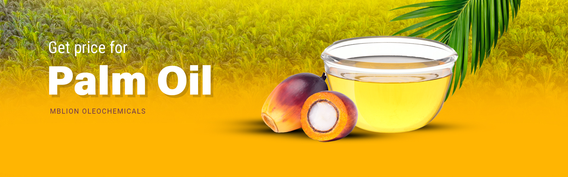 Daily palm oil prices from Malaysia and Indonesia including CPO RBD palm oil and palm olein market updates