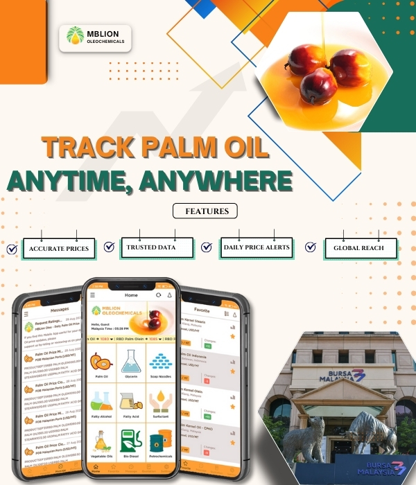 MBLion palm oil price tracking platform providing real time palm oil market data and futures insights